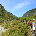 Active Adventures New Zealand - Punakaiki